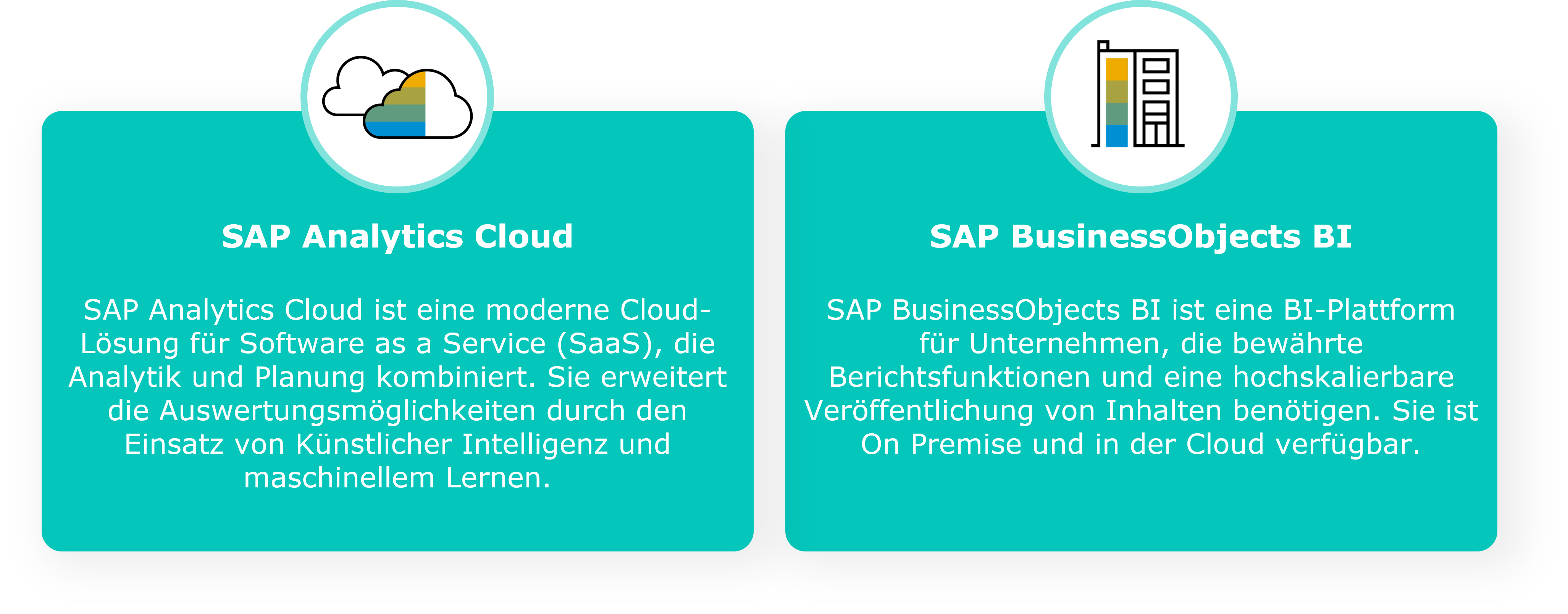 SAP-Business-Objects-Bild-1